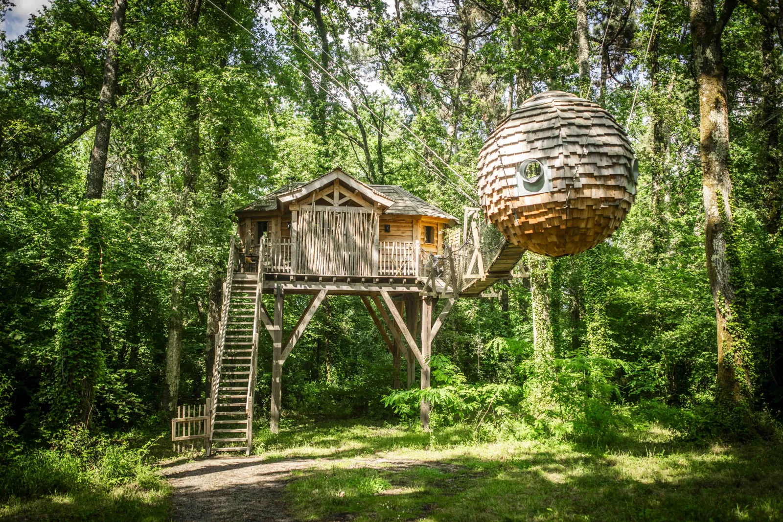 Cabane Nid d'Amour, cabane dans les arbres à Martillac