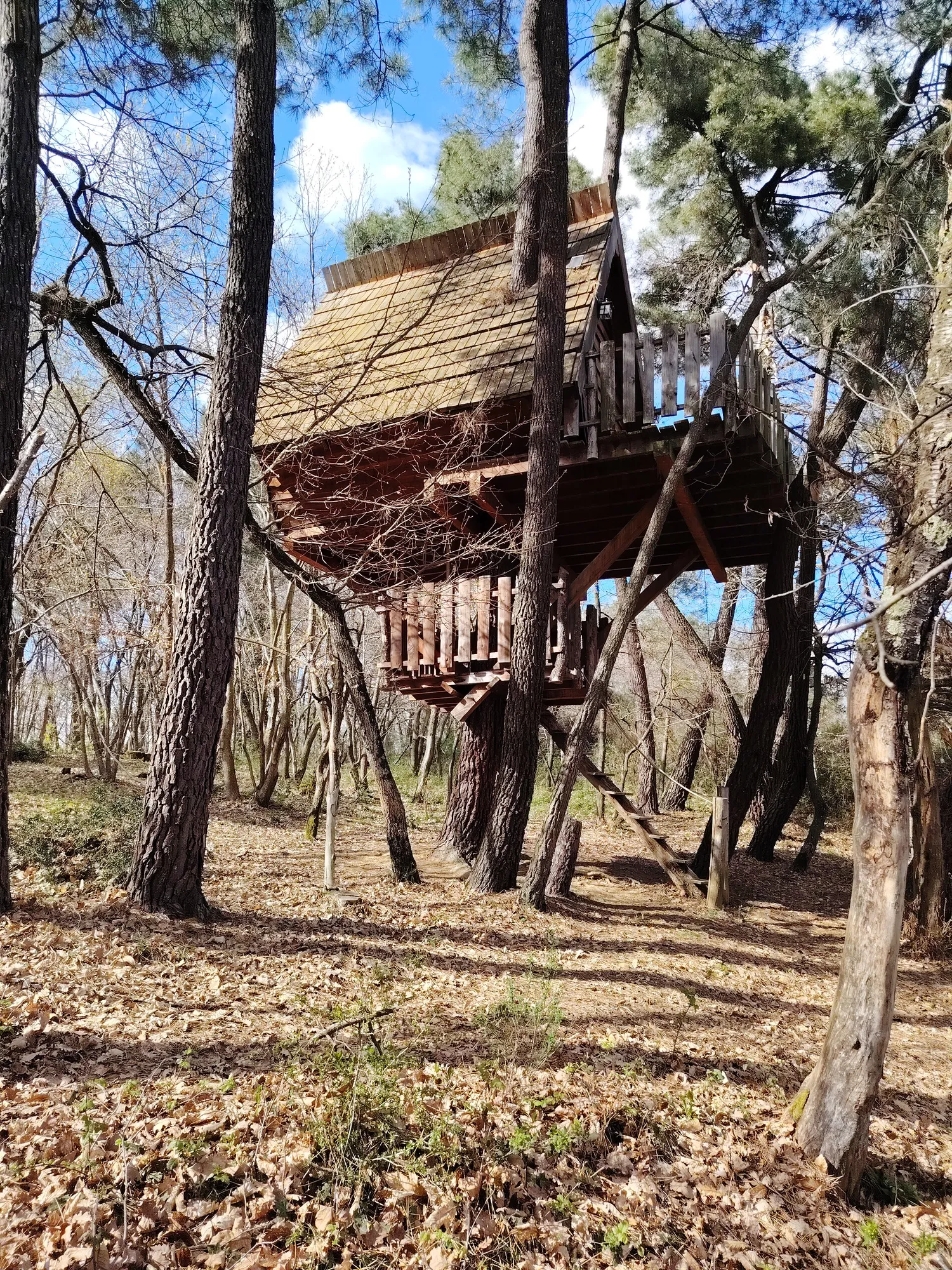 Cabane Nid d'Oiseaux, cabane dans les arbres à Saint-Donat-sur-l'Herbasse