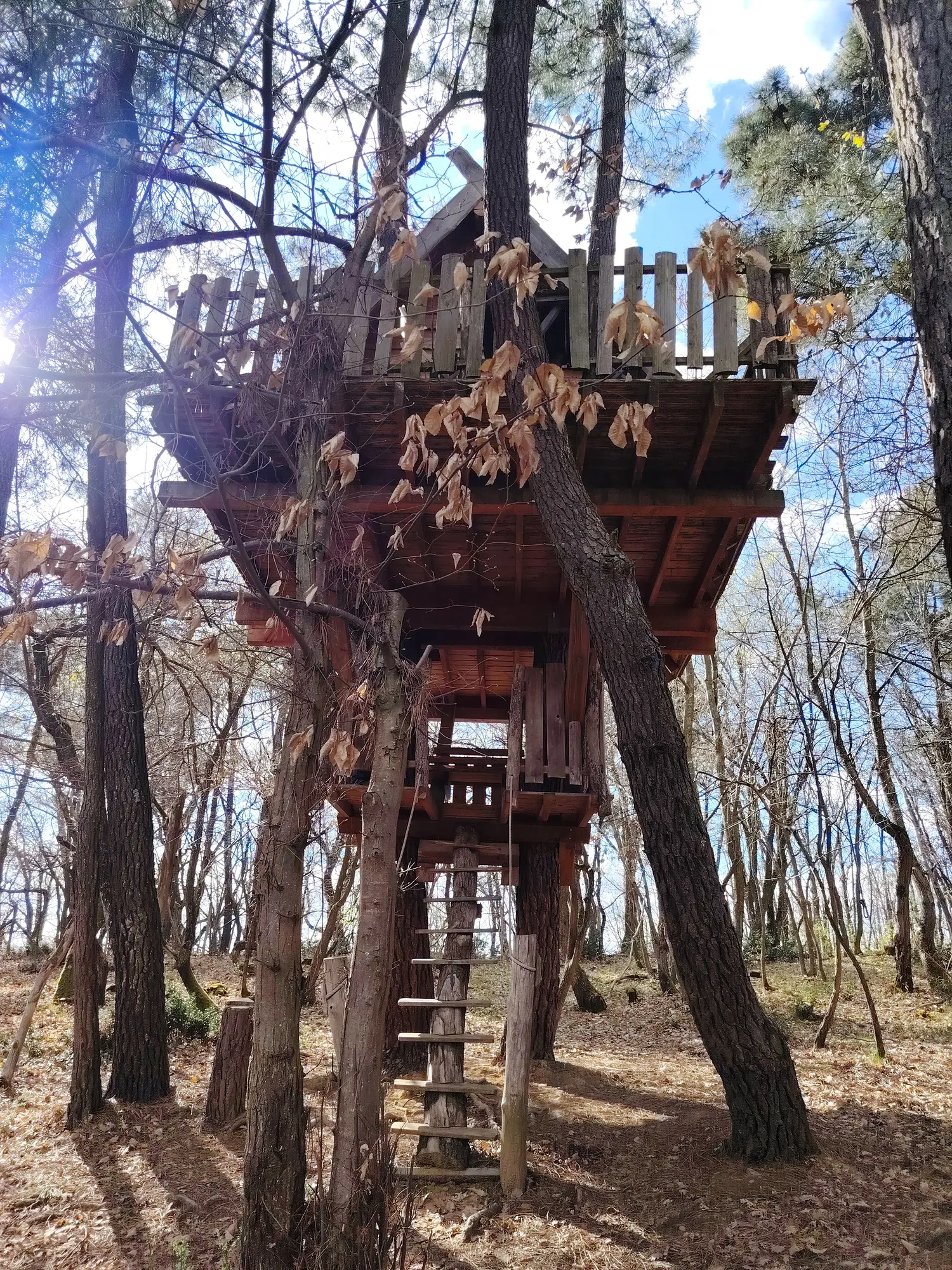 Cabane Nid d'Oiseaux à Saint-Donat-sur-l'Herbasse, photo 4