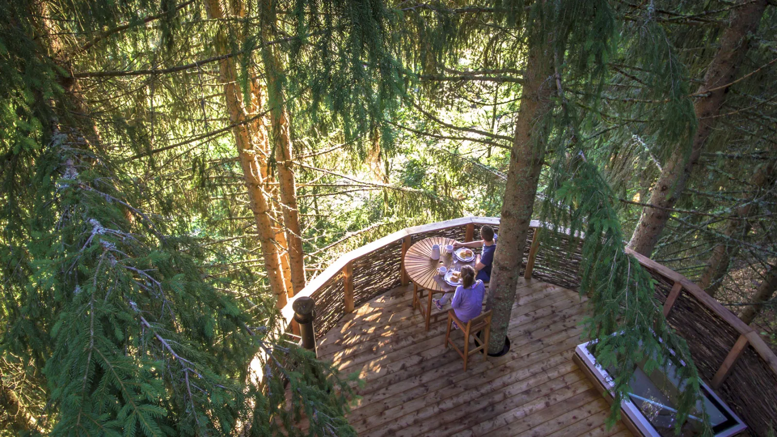 Cabane Nid, cabane dans les arbres à Saint-Nicolas-la-Chapelle