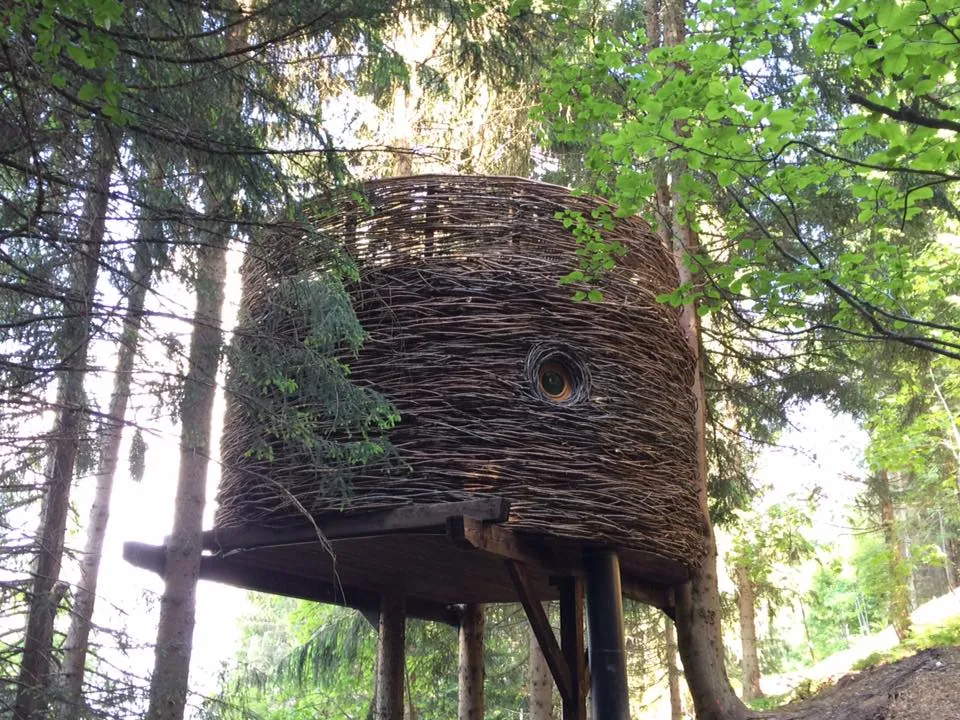Cabane Nid à Saint-Nicolas-la-Chapelle, photo 3