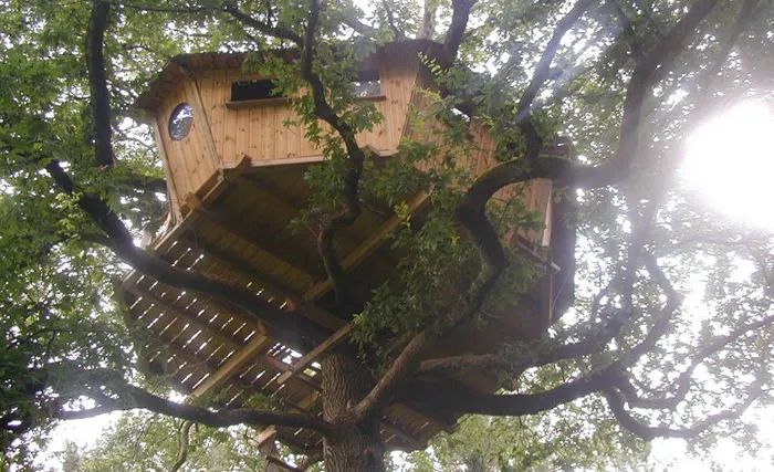 Cabane Nijal, cabane dans les arbres à Ploemel