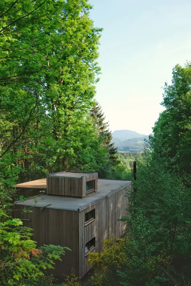 Cabane Nutchel Classique à Plaine, photo 2