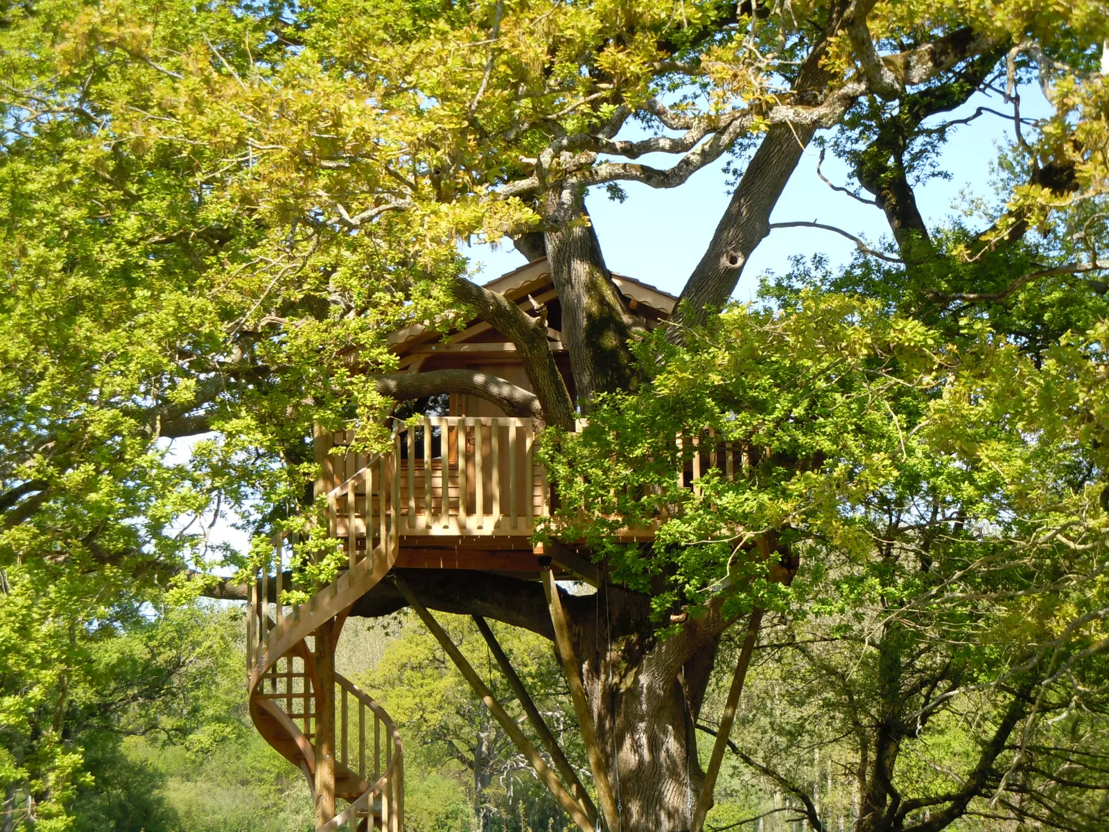 Cabane O' charmes, cabane dans les arbres à Sèvremoine