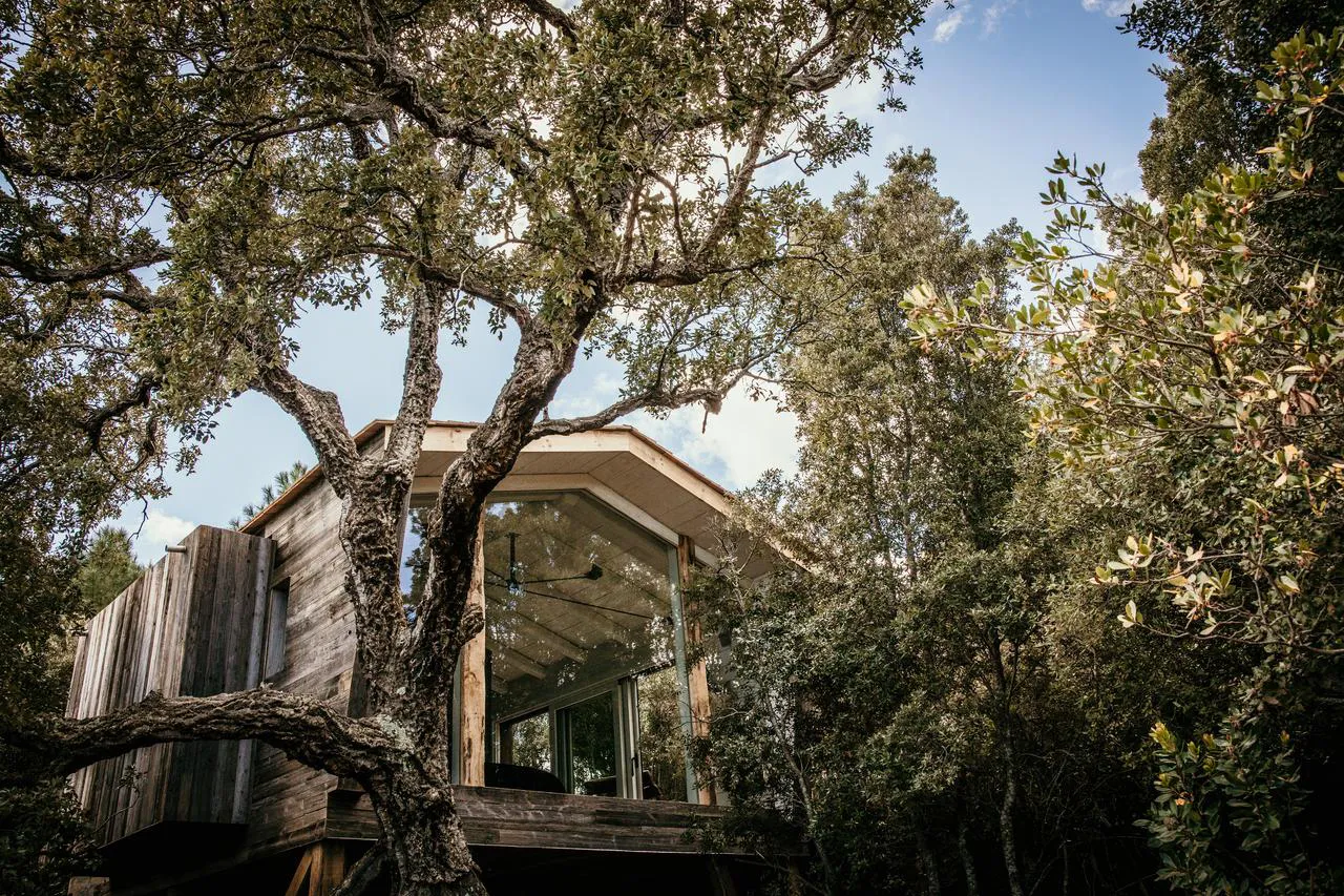 Cabane Orion, cabane dans les arbres à Porto-Vecchio