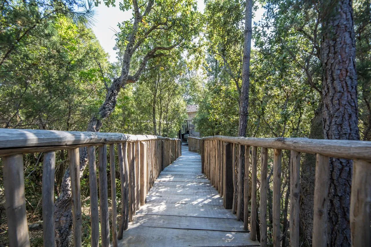 Cabane Orion à Porto-Vecchio, photo 2