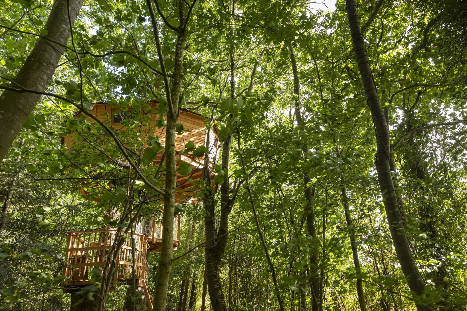 Cabane Ouistiti, cabane dans les arbres à Longny les Villages