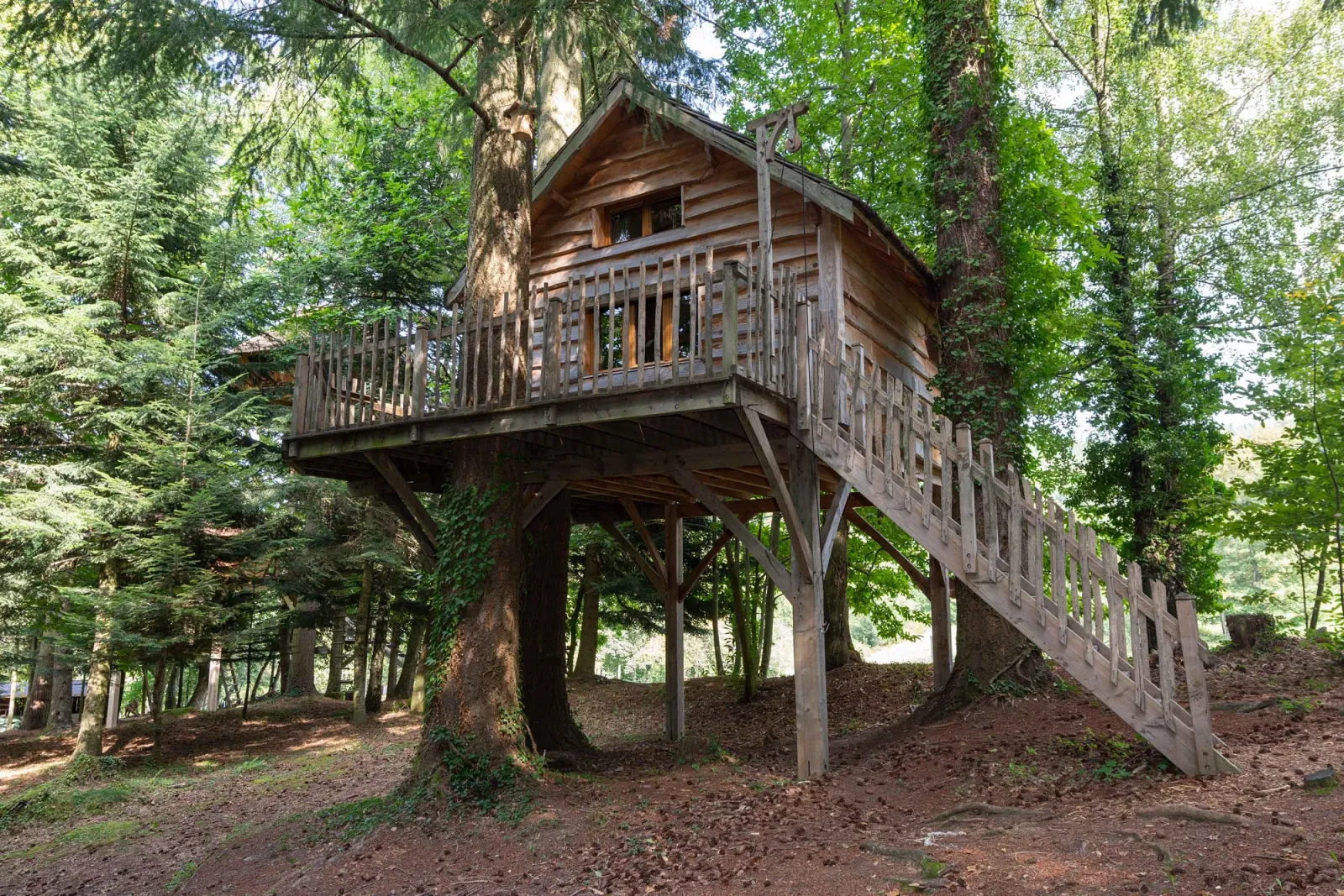 Cabane Ours, cabane dans les arbres à Belsentes
