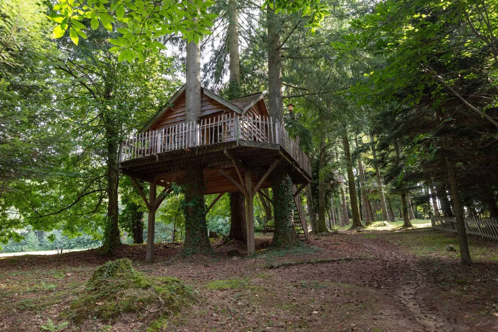 Cabane Panda, cabane dans les arbres à Belsentes