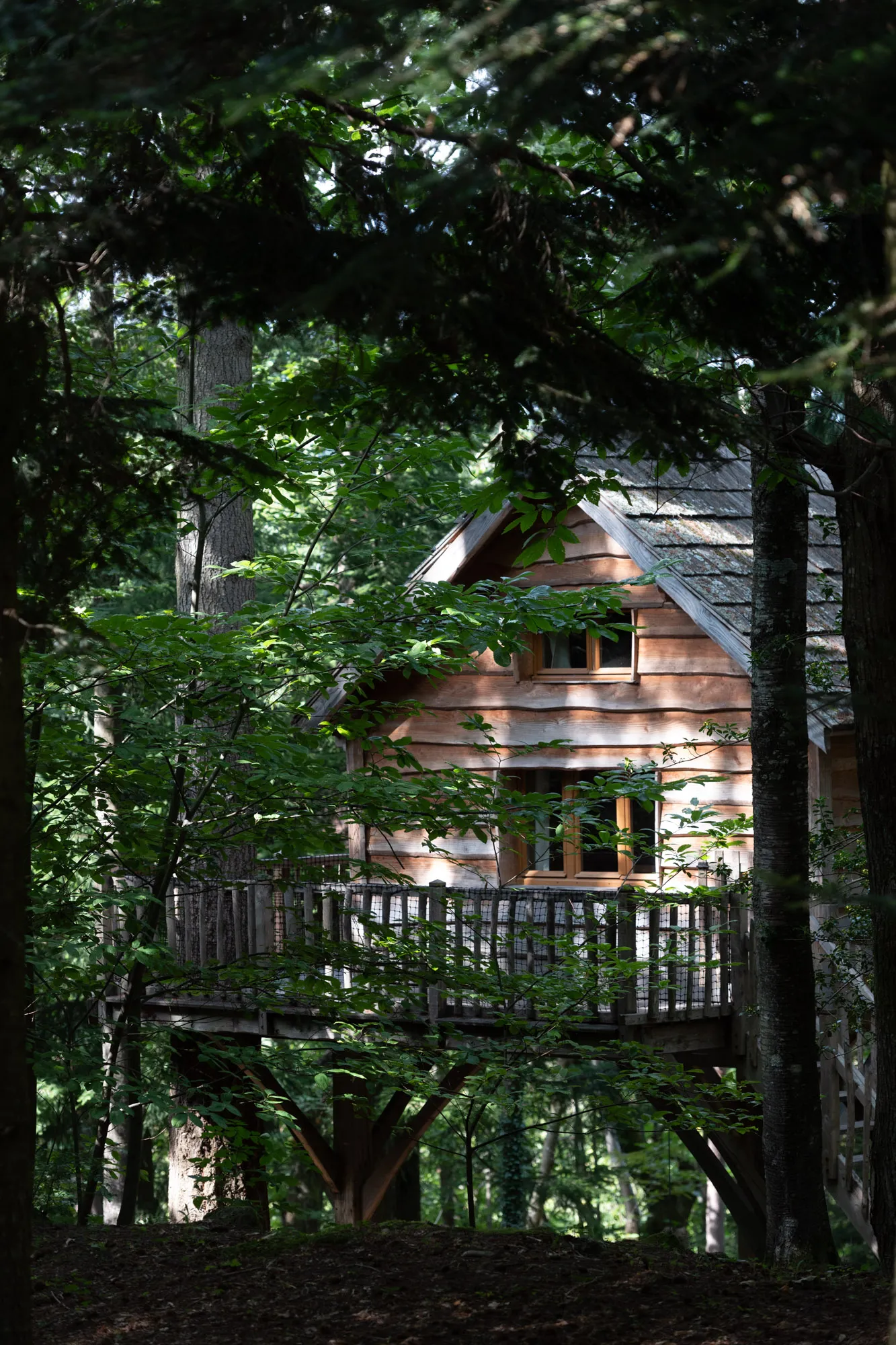 Cabane Panda à Belsentes, photo 2