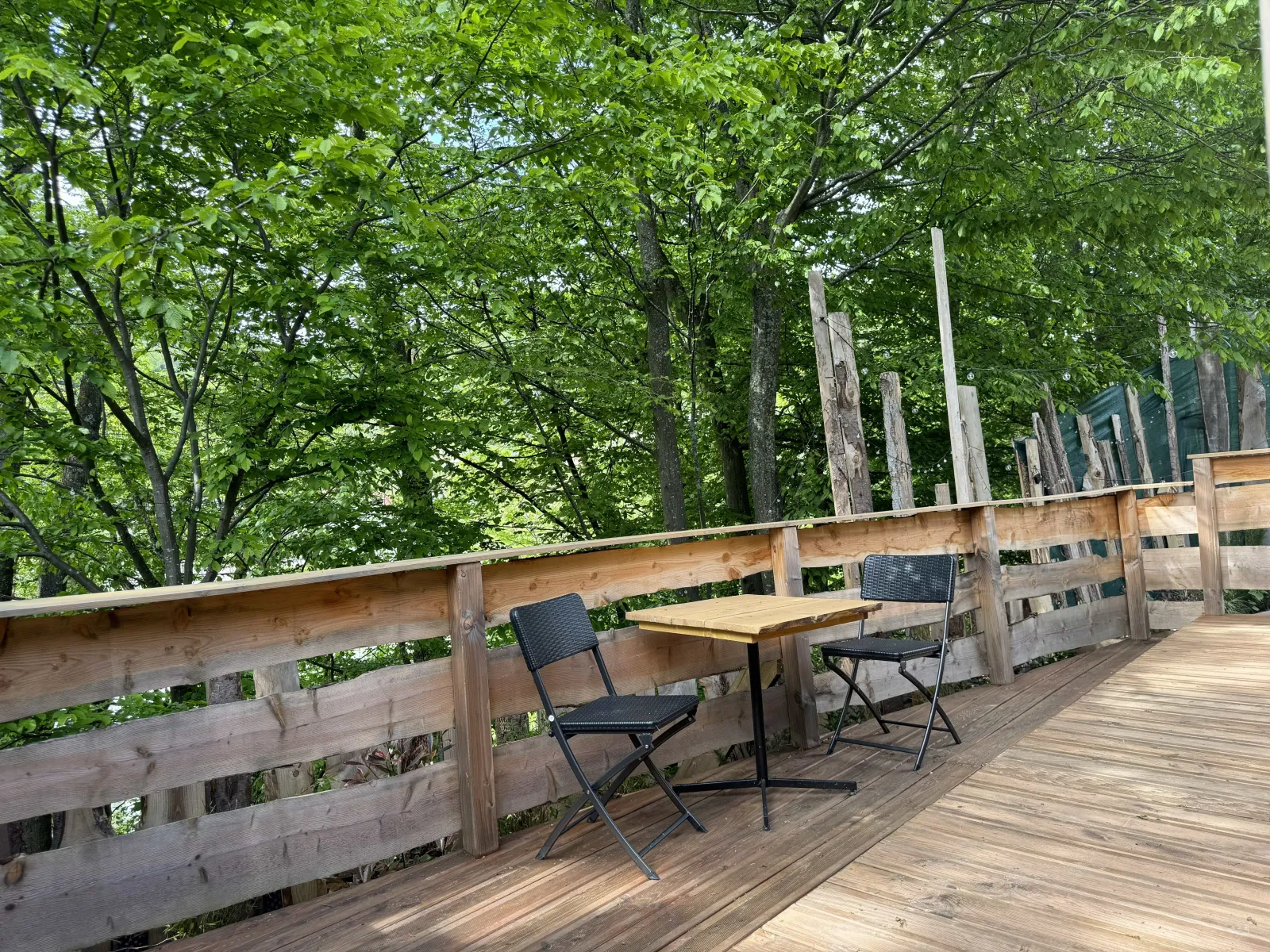 Cabane Pégase à Orbey, photo 5