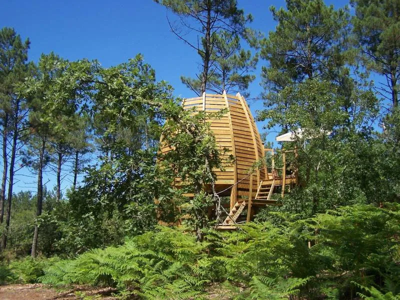 Cabane Perchée 2 (2/5 personnes), cabane sur pilotis à Captieux