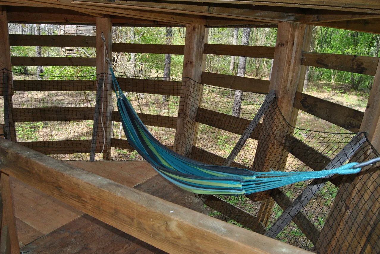 Cabane Perchée (2/3 personnes) à Captieux, photo 2