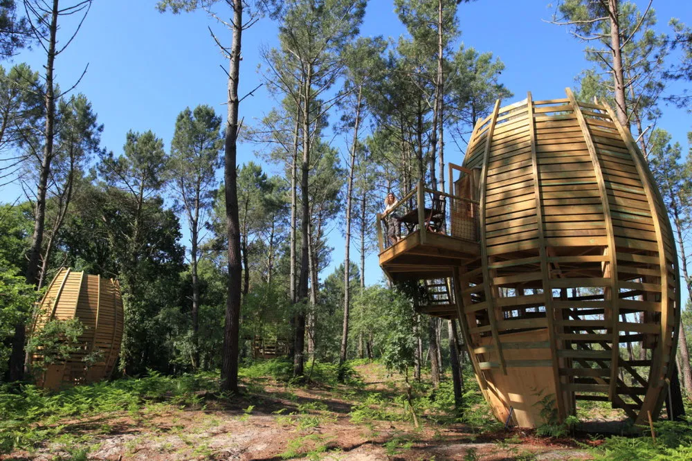 Cabane Perchée (2/5 personnes) à Captieux, photo 3