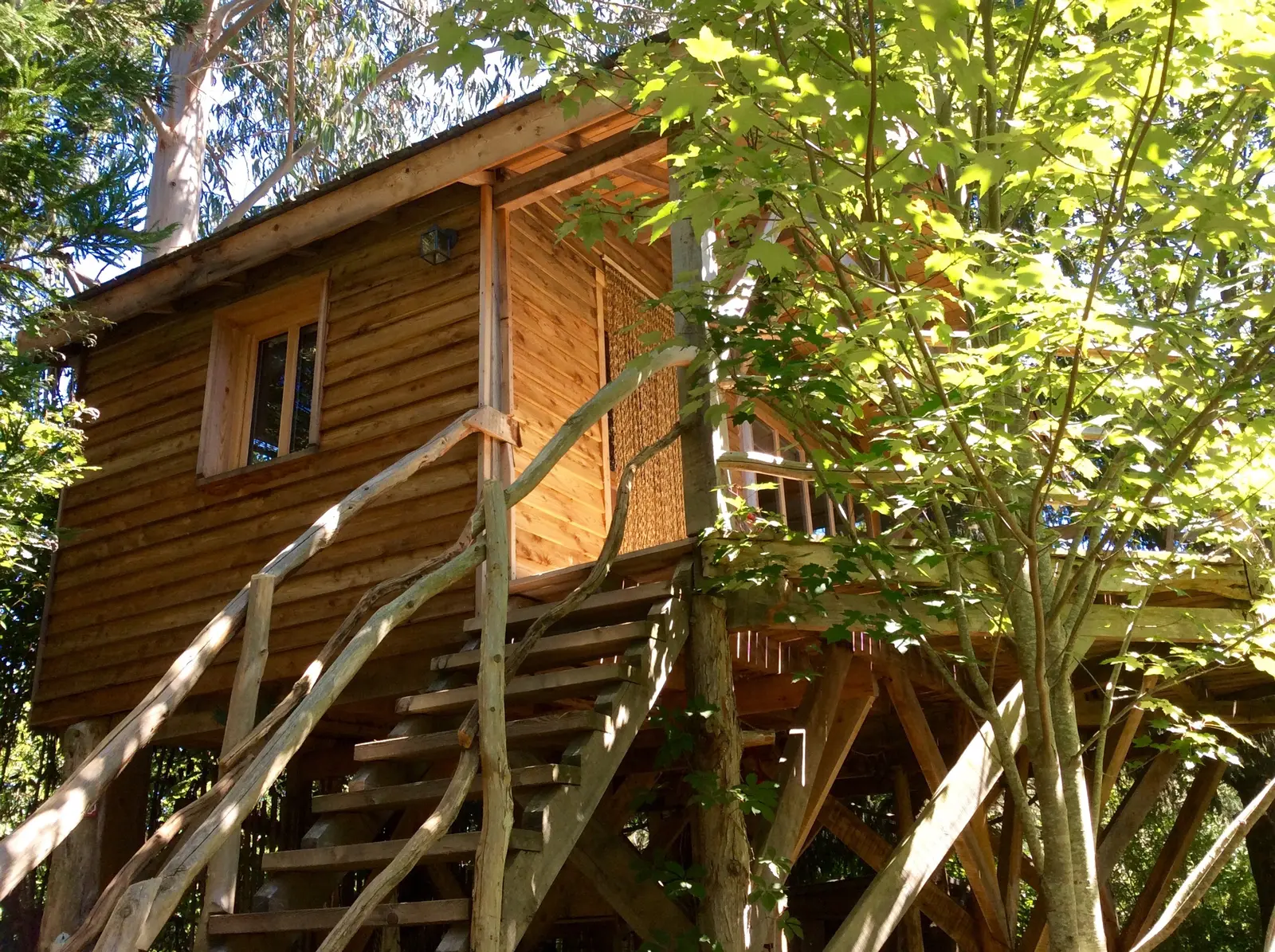 Cabane perchée d'Arbonne à Arbonne, photo 3