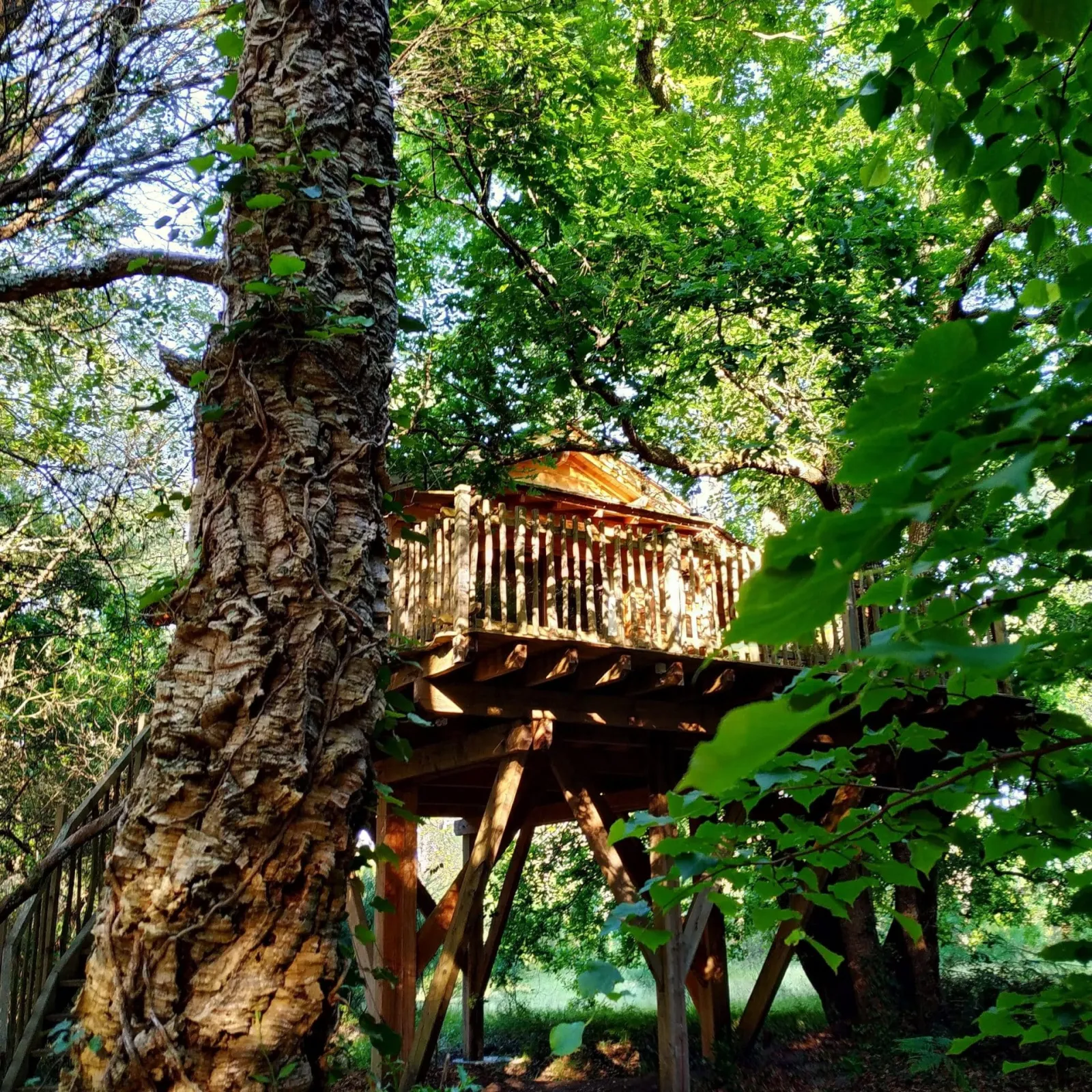 Cabane perchée d'Hossegor, cabane dans les arbres à Soorts-Hossegor