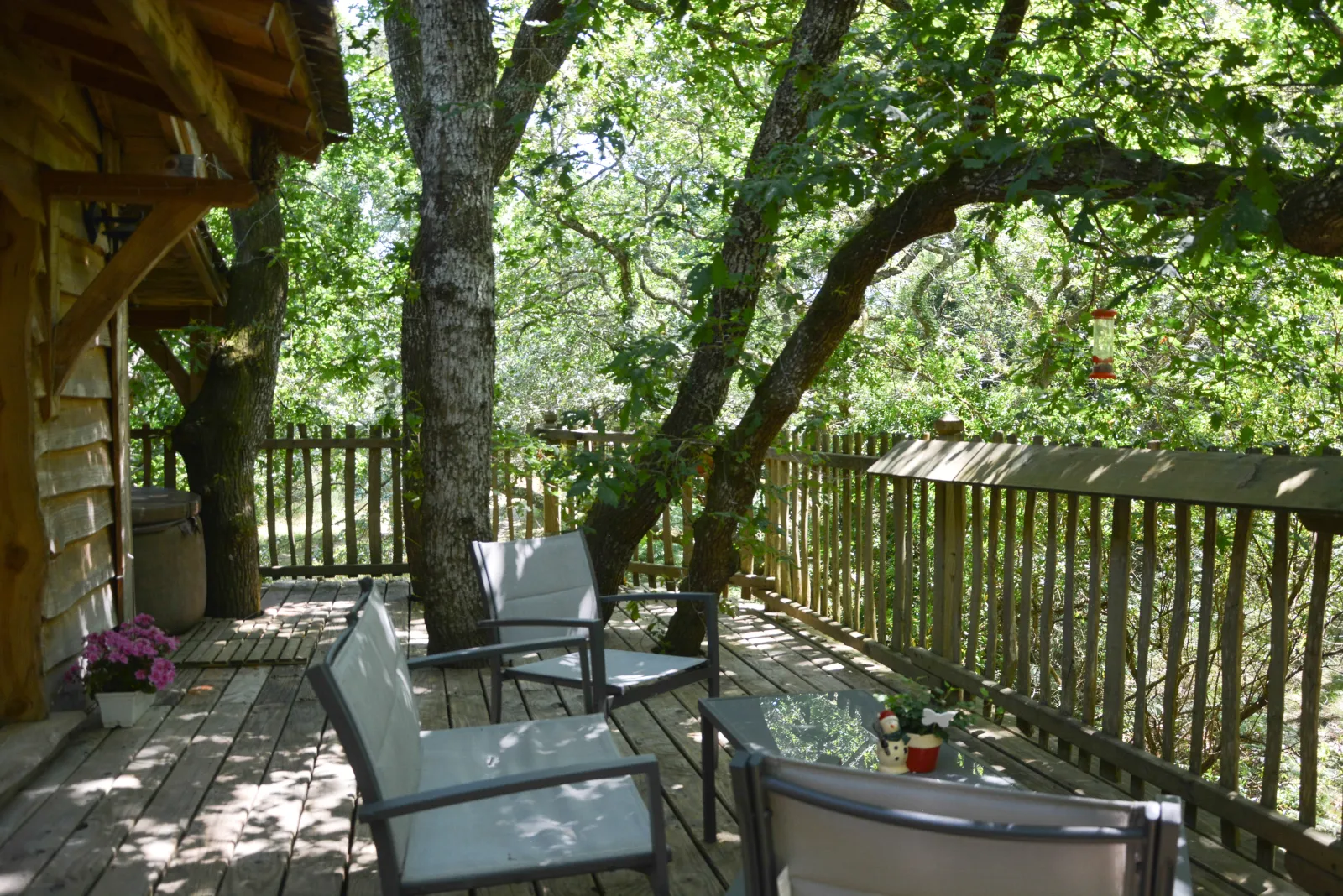 Cabane perchée d'Hossegor à Soorts-Hossegor, photo 4