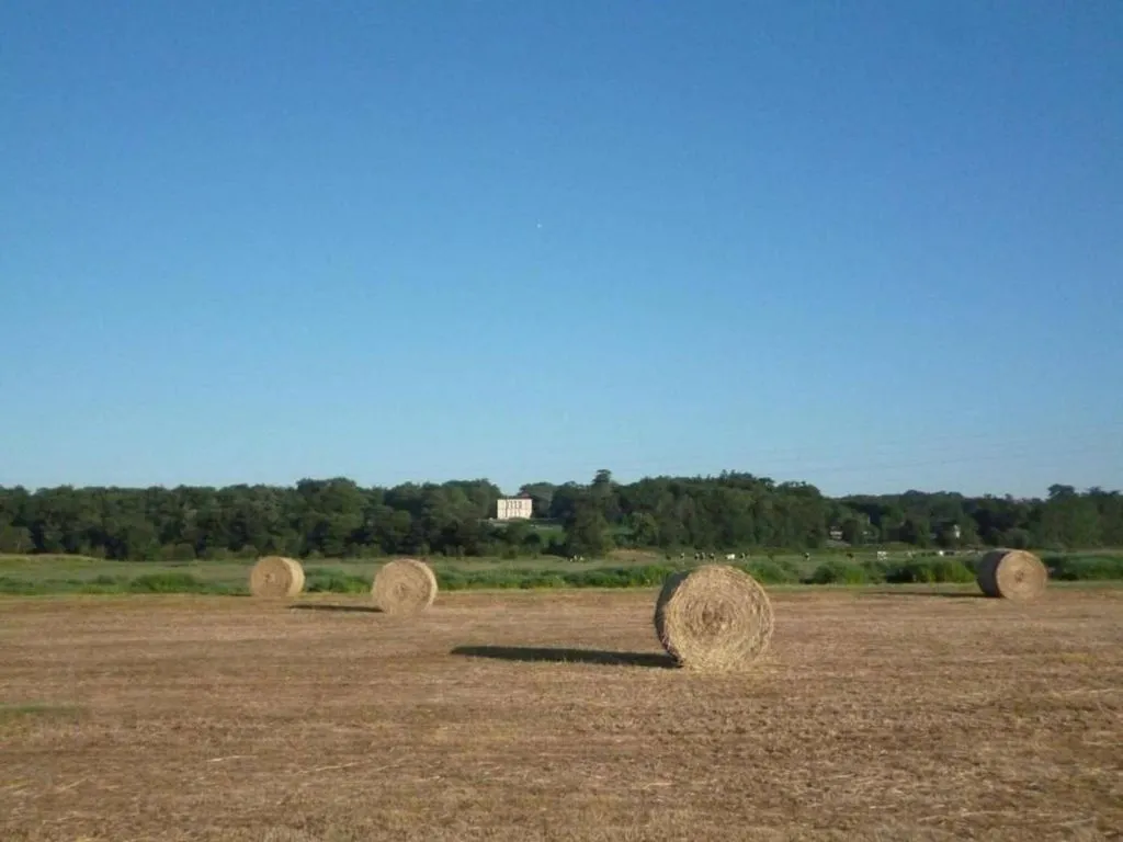 Cabane perchée de Beauvais à Port-Saint-Père, photo 3