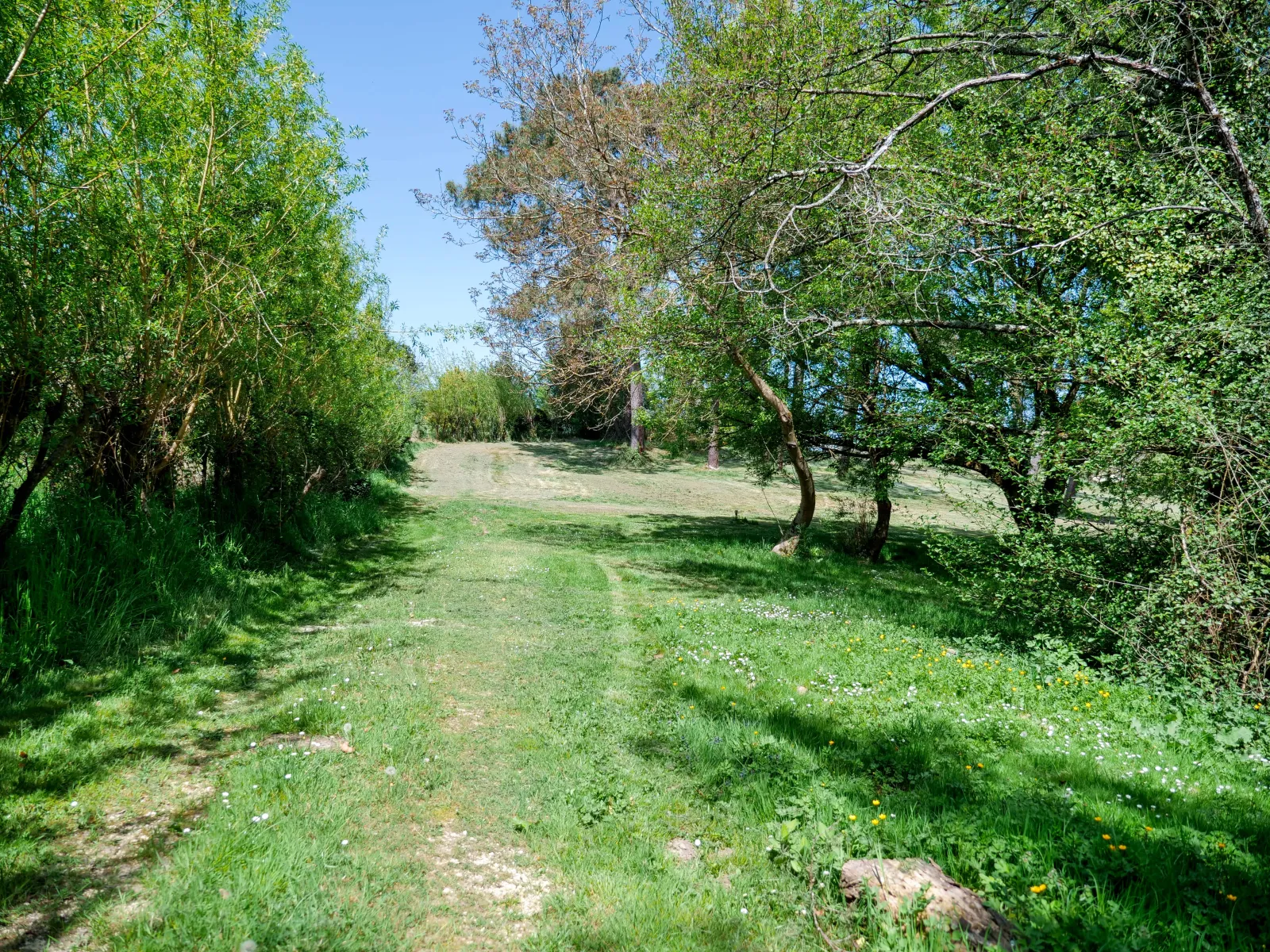 Cabane perchée de Belloc à Sadirac, photo 2