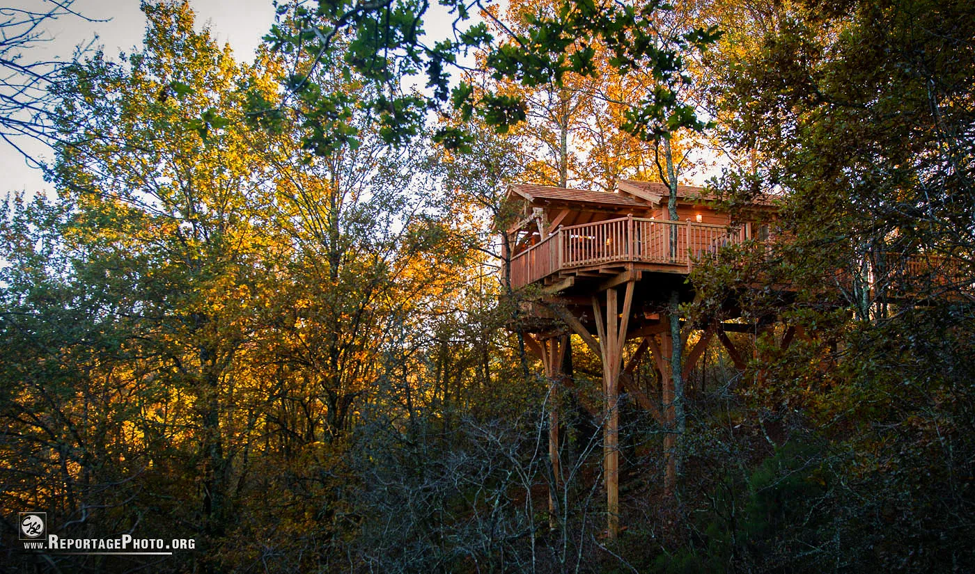 Cabane perchée de la Male, cabane dans les arbres à Puygaillard-de-Quercy