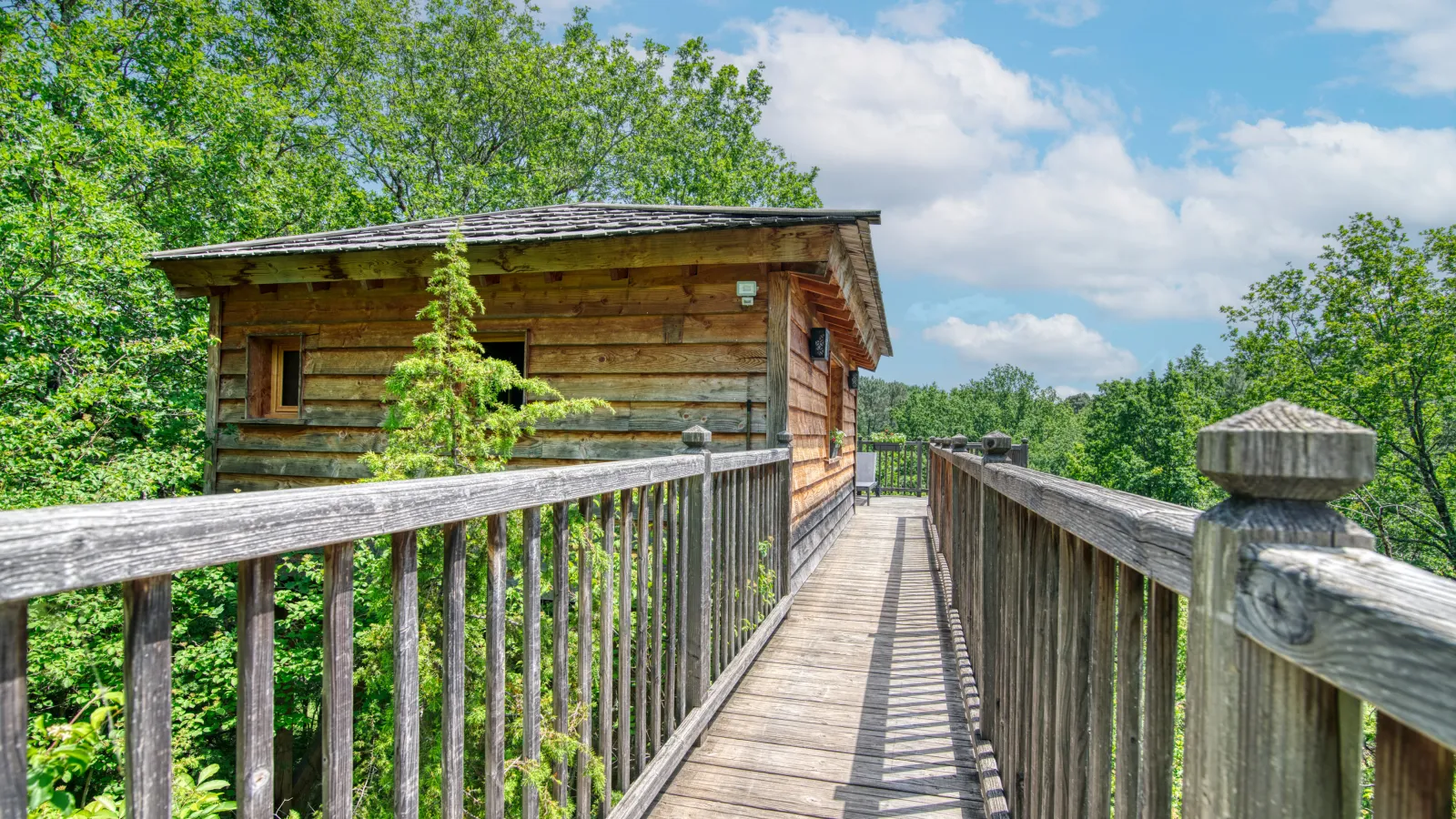Cabane perchée de la Male à Puygaillard-de-Quercy, photo 4