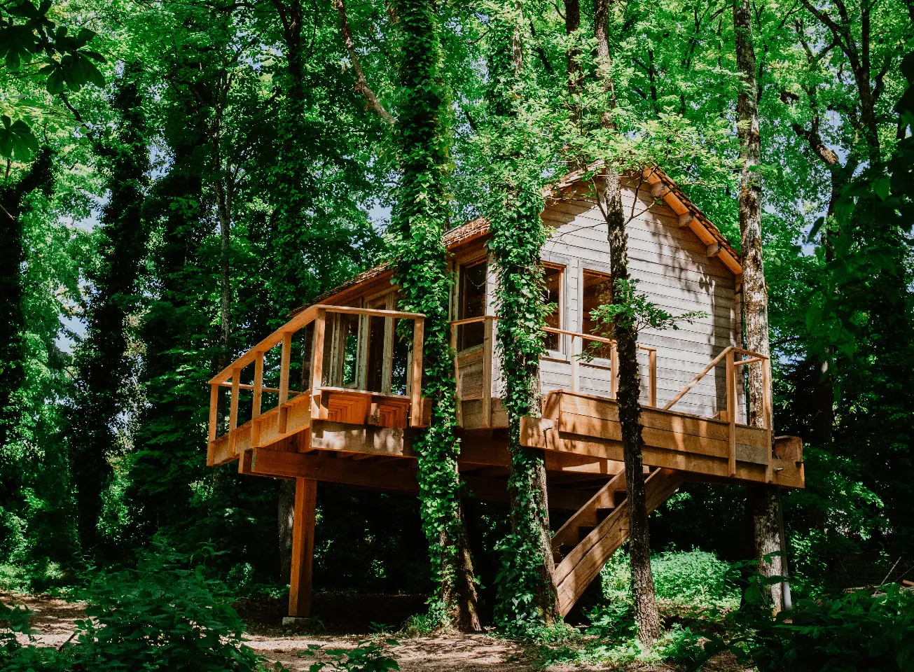 Cabane Perchée de la Tortillère à Marçay, photo 3