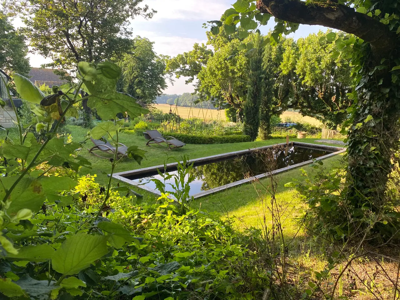 Cabane Perchée de la Tortillère à Marçay, photo 4