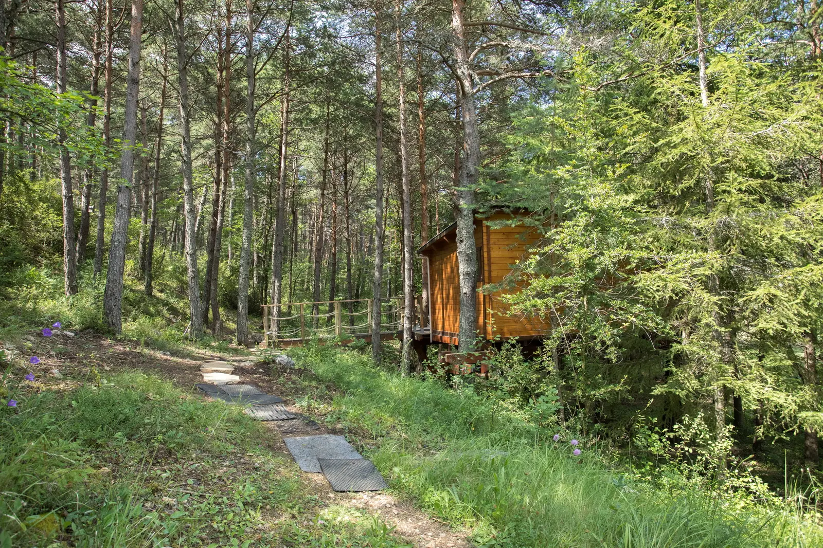 Cabane perchée du Verdon à La Palud-sur-Verdon, photo 3
