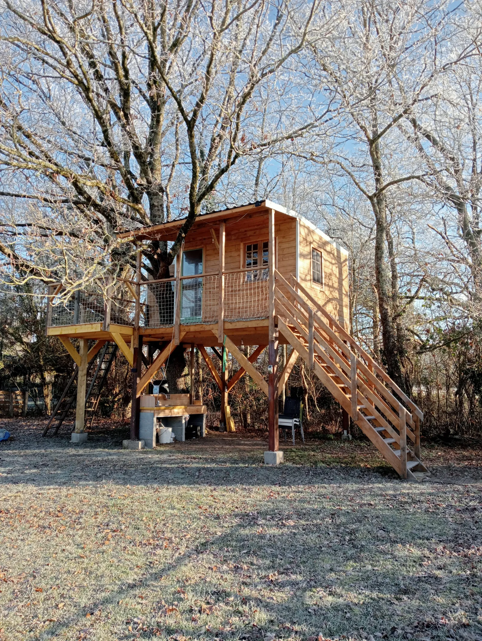 Cabane perchée et le chêne à Saint-Roch, photo 4
