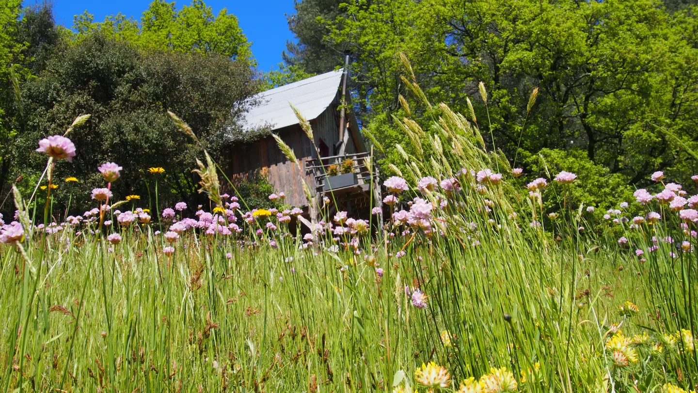 Cabane La Pôlette à Meyras, photo 5