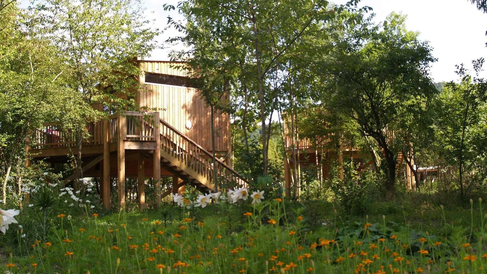 Cabane Perchée Premium à Chamalières-sur-Loire, photo 2