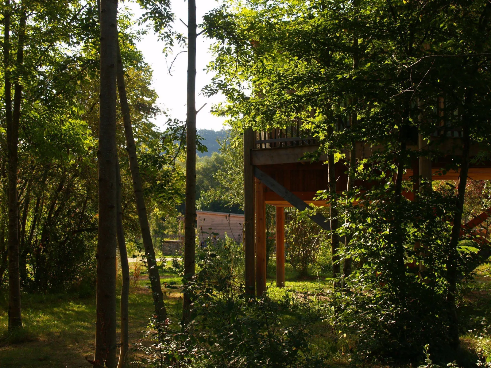 Cabane Perchée Premium à Chamalières-sur-Loire, photo 5