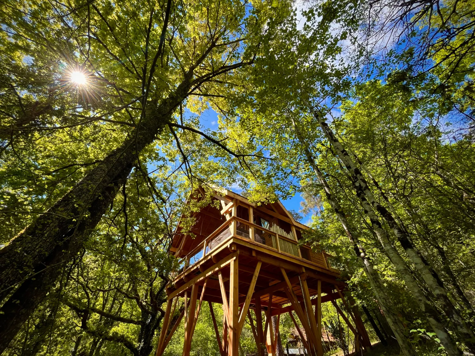Cabane perchée spa et sauna, cabane dans les arbres à Puygaillard-de-Quercy