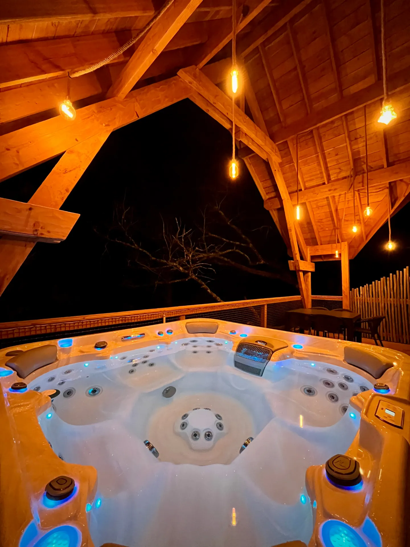 Cabane perchée spa et sauna à Puygaillard-de-Quercy, photo 3