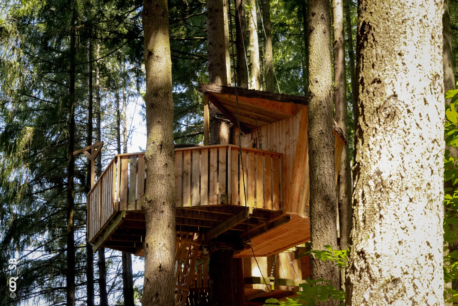 Cabane Perdrix à Cublize, photo 2