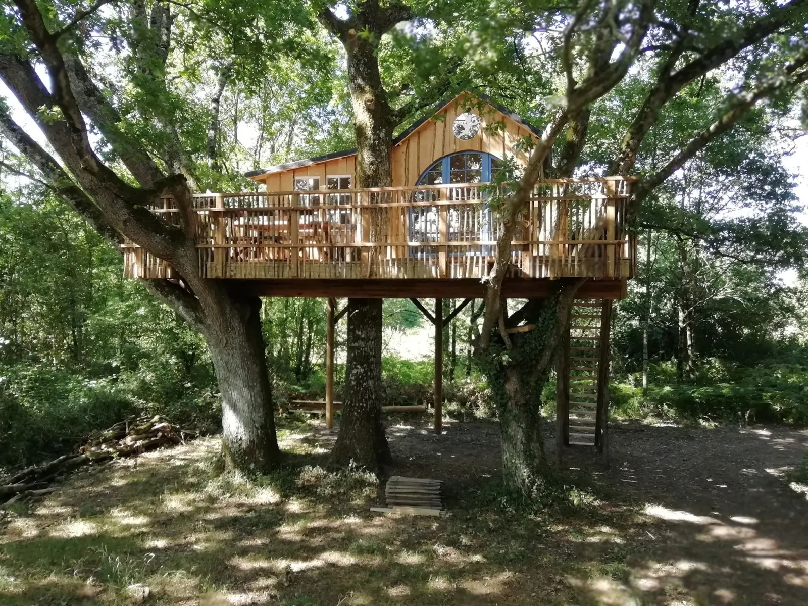 Cabane Peter Pan, cabane dans les arbres à Saint-Pierre-des-Échaubrognes