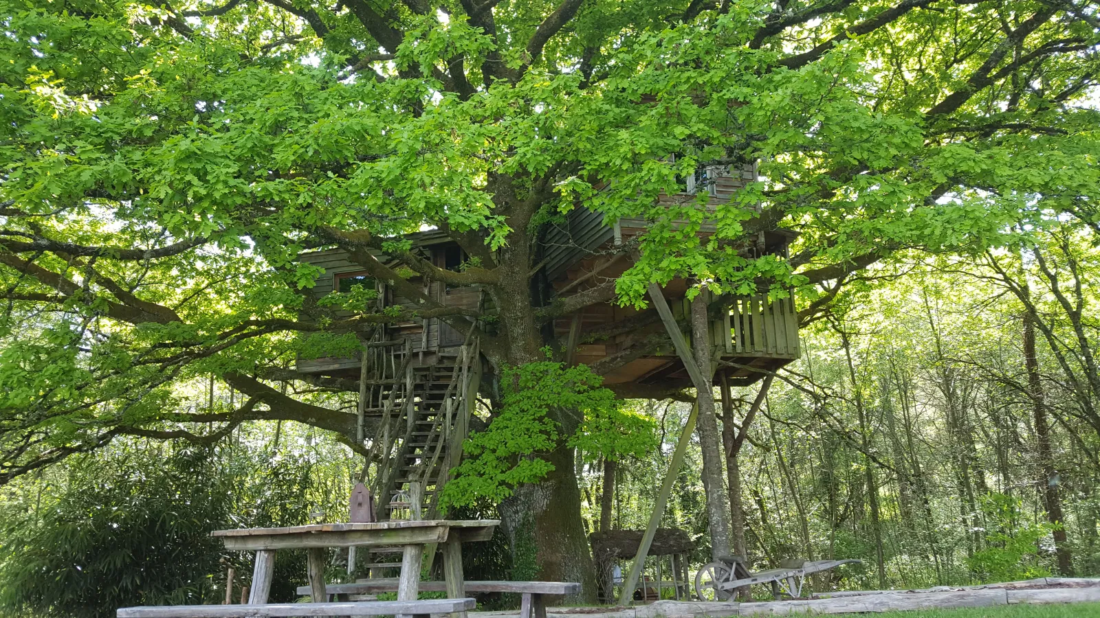 Cabane Peyrade, cabane dans les arbres à Sexcles