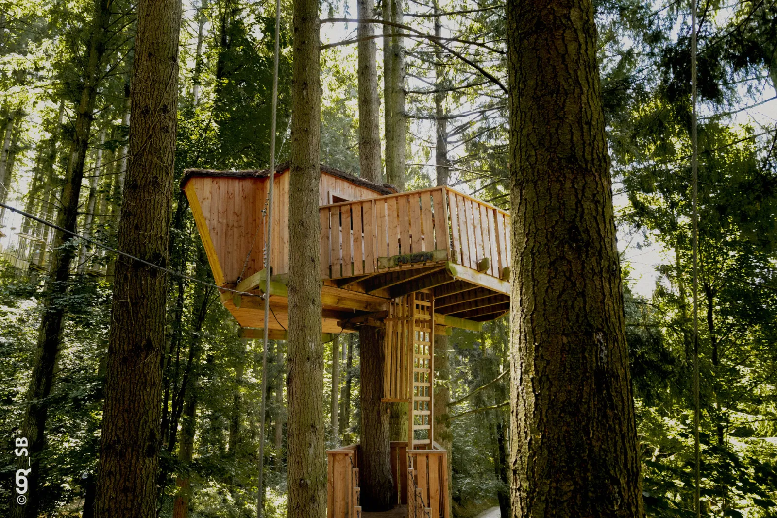 Cabane Pinson, cabane dans les arbres à Cublize