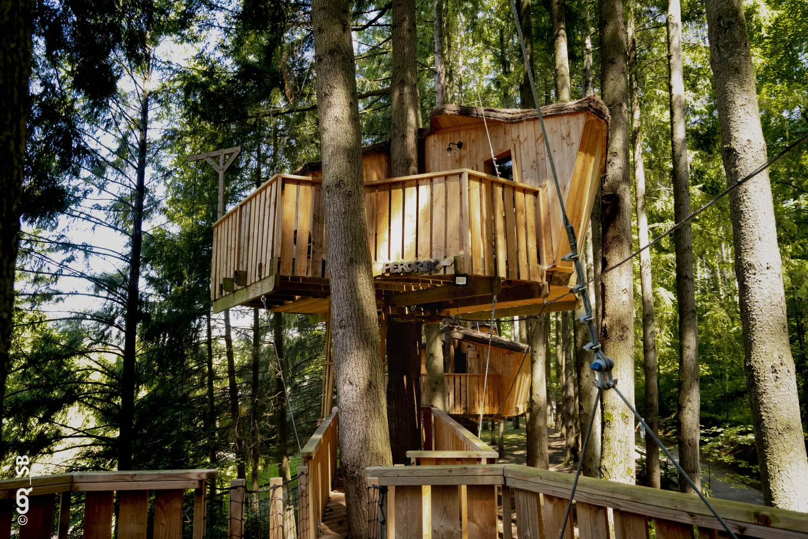 Cabane Pinson à Cublize, photo 3