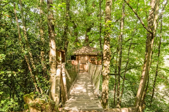 Cabane Pivert à Forcé, photo 2