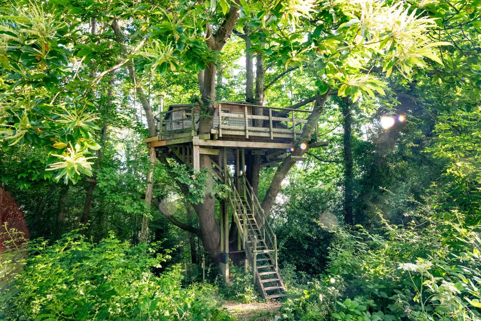 Cabane Pivert, cabane dans les arbres à Saint-Pierre-Azif