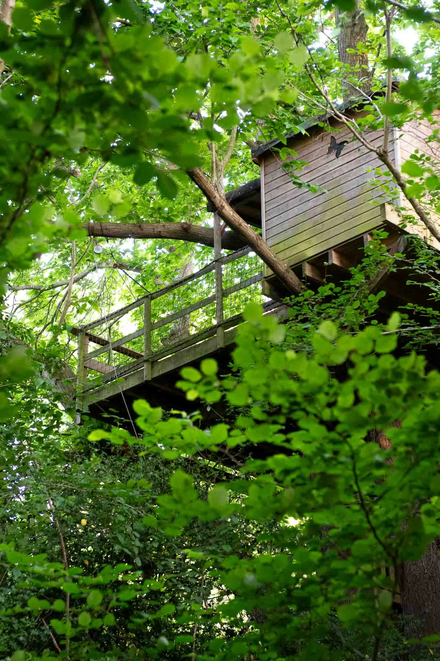 Cabane Pivert à Saint-Pierre-Azif, photo 2