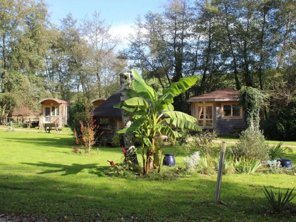 Cabane PMR pour 5 personnes à Champvert, photo 5