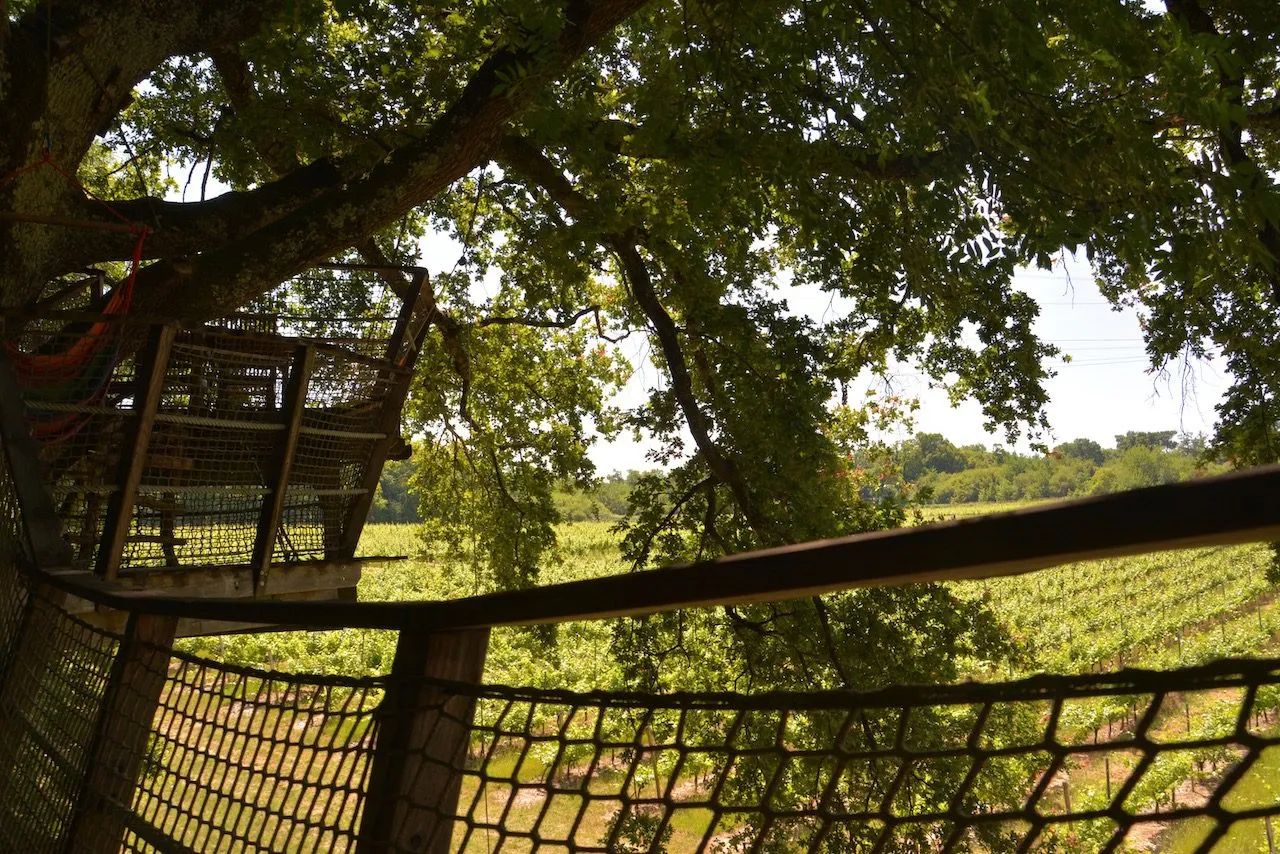 Cabane Pomerol à Pompignac, photo 4