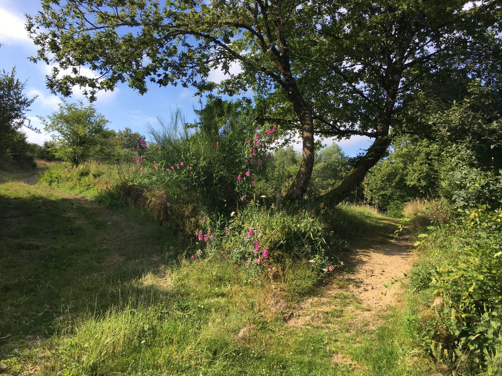 Cabane Poussière d'étoile à Argentat-sur-Dordogne, photo 3