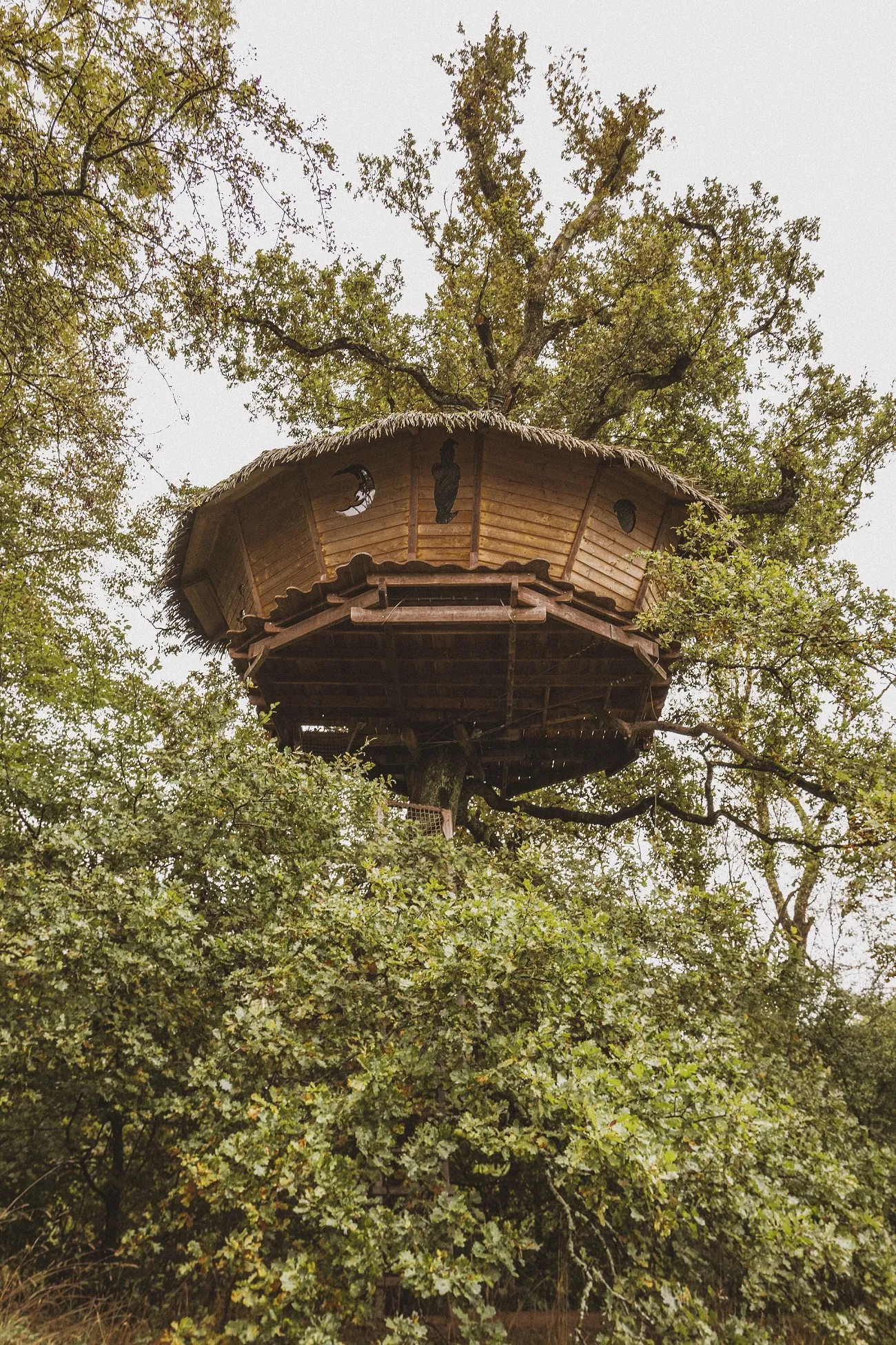 Cabane Reflet, cabane dans les arbres à Chassey-lès-Montbozon