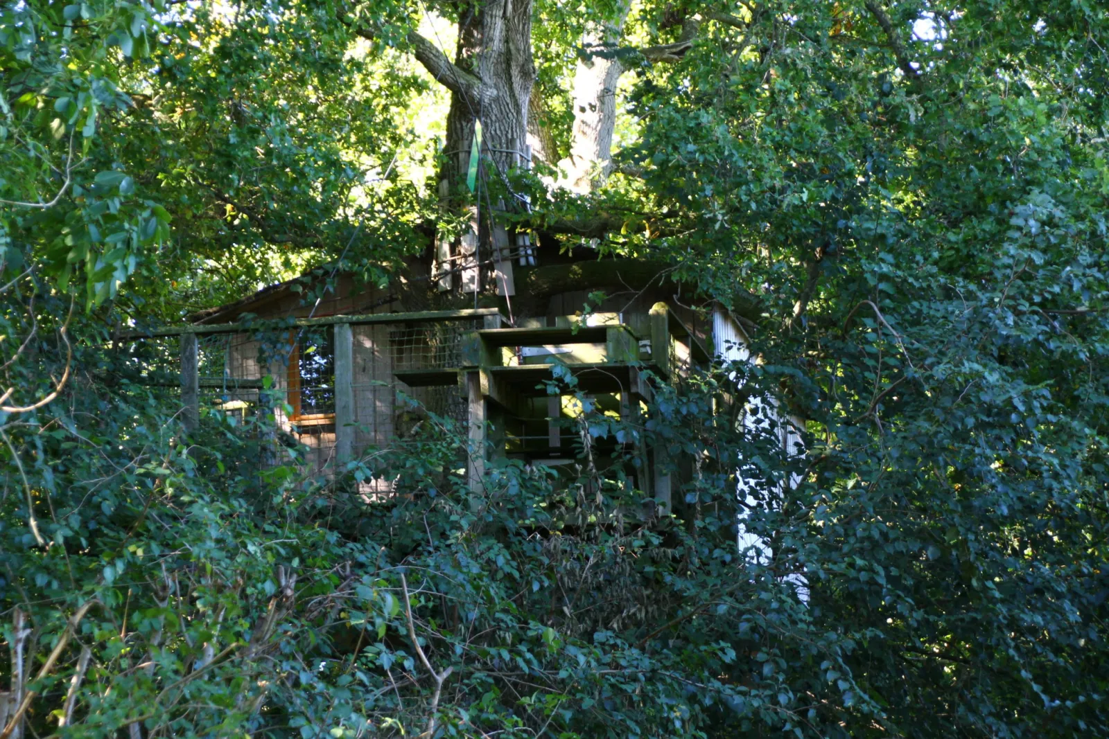 Cabane Reposoir à Hénanbihen, photo 3