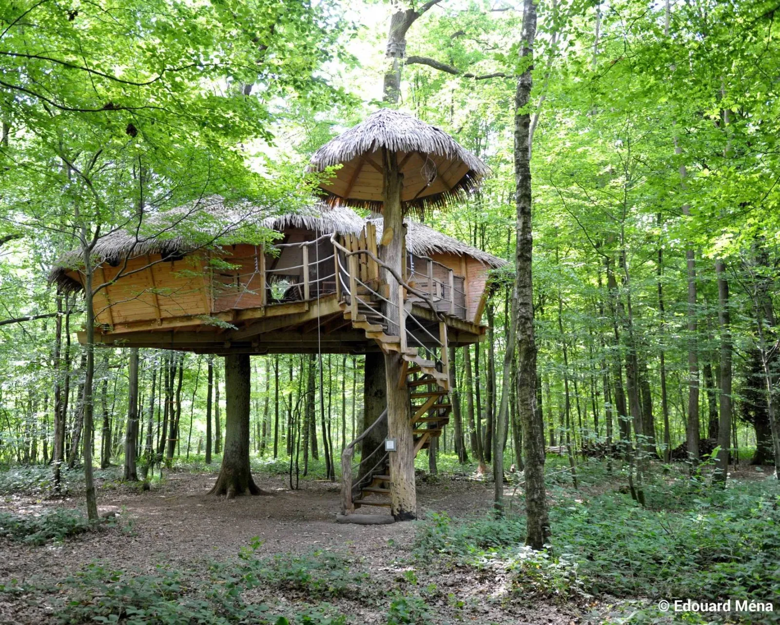 Cabane Robin des Bois, cabane dans les arbres à Saint-Germain-des-Essourts