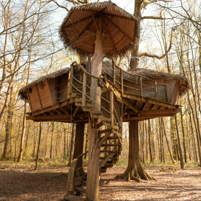 Cabane Robin des Bois à Saint-Germain-des-Essourts, photo 2