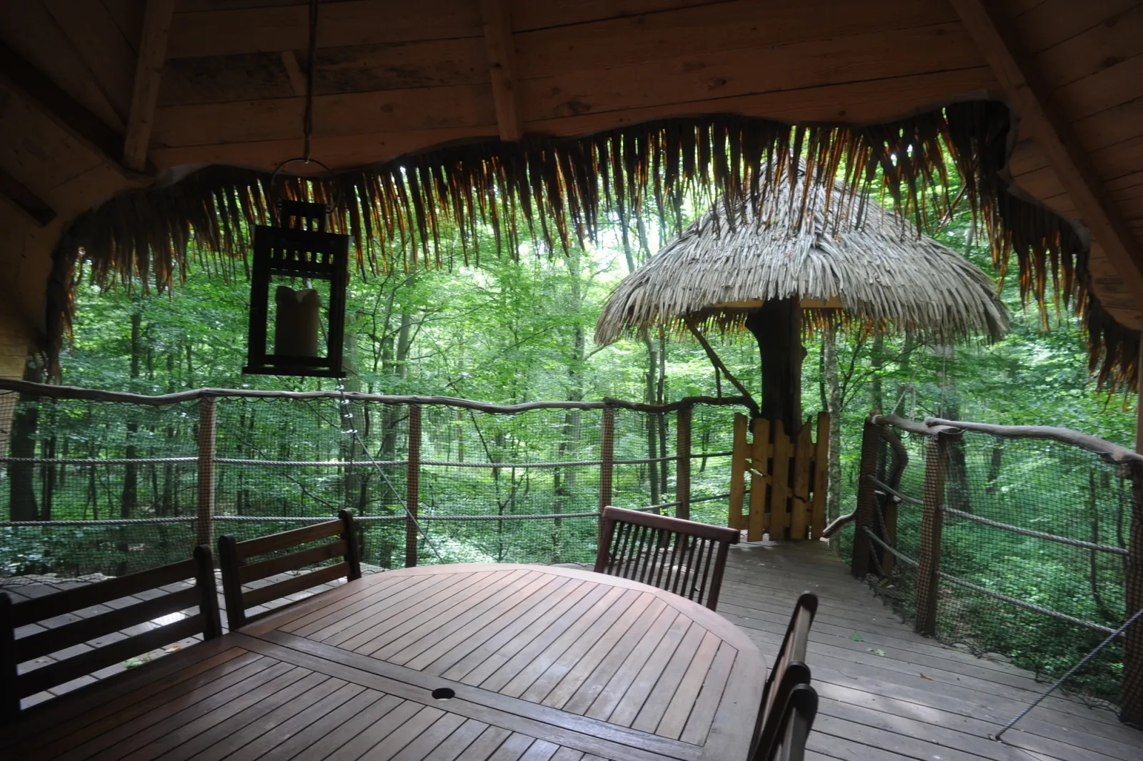 Cabane Robin des Bois à Saint-Germain-des-Essourts, photo 4